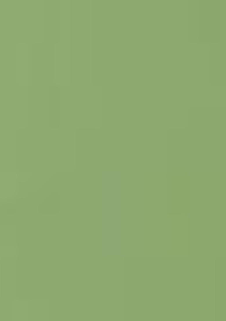 Insight Cosmetics 5 Toxic Free Long Lasting Chip Resistant Nail Polish 9Ml Shade 249