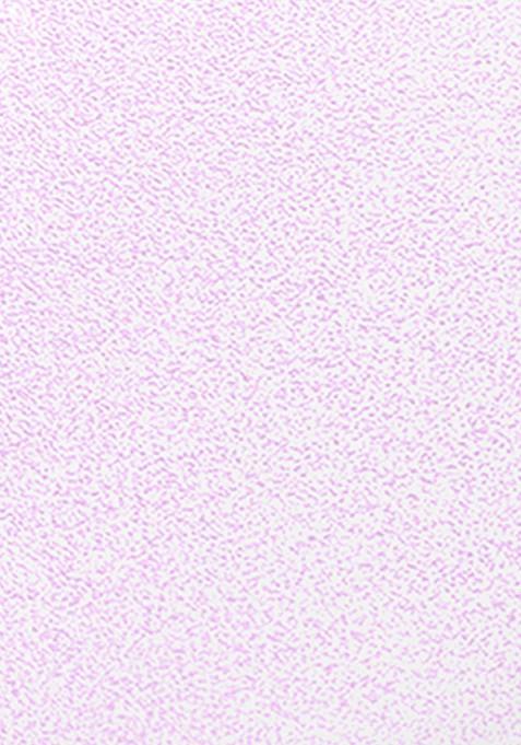 Swiss Beauty Quick Dry Slay Nail Polish With Ultra Shine Formula 13 Ml Drizzle 48