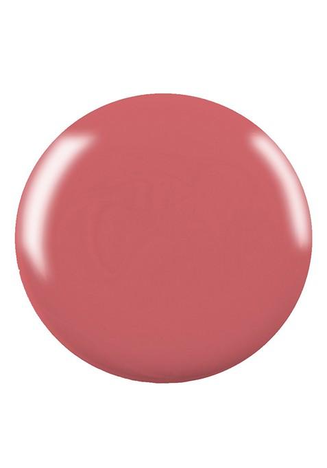 Swiss Beauty Professional Uv Gel Nail Polish 15Ml 22