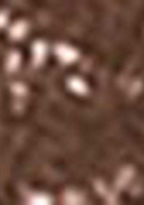 Faces Canada Ultime Pro Brow Defining Pencil 1 2G Dark Brown 02