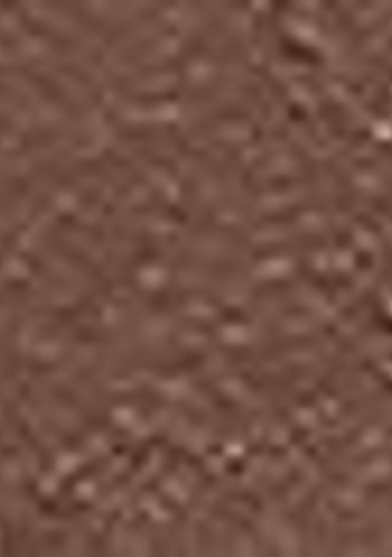 Faces Canada Weightless Matte Finish Hydrating Lipstick With Almond Oil Pretty Sepia 08