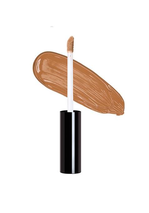 Daily Life Forever52 Complete Coverage Concealer Cov009 10G