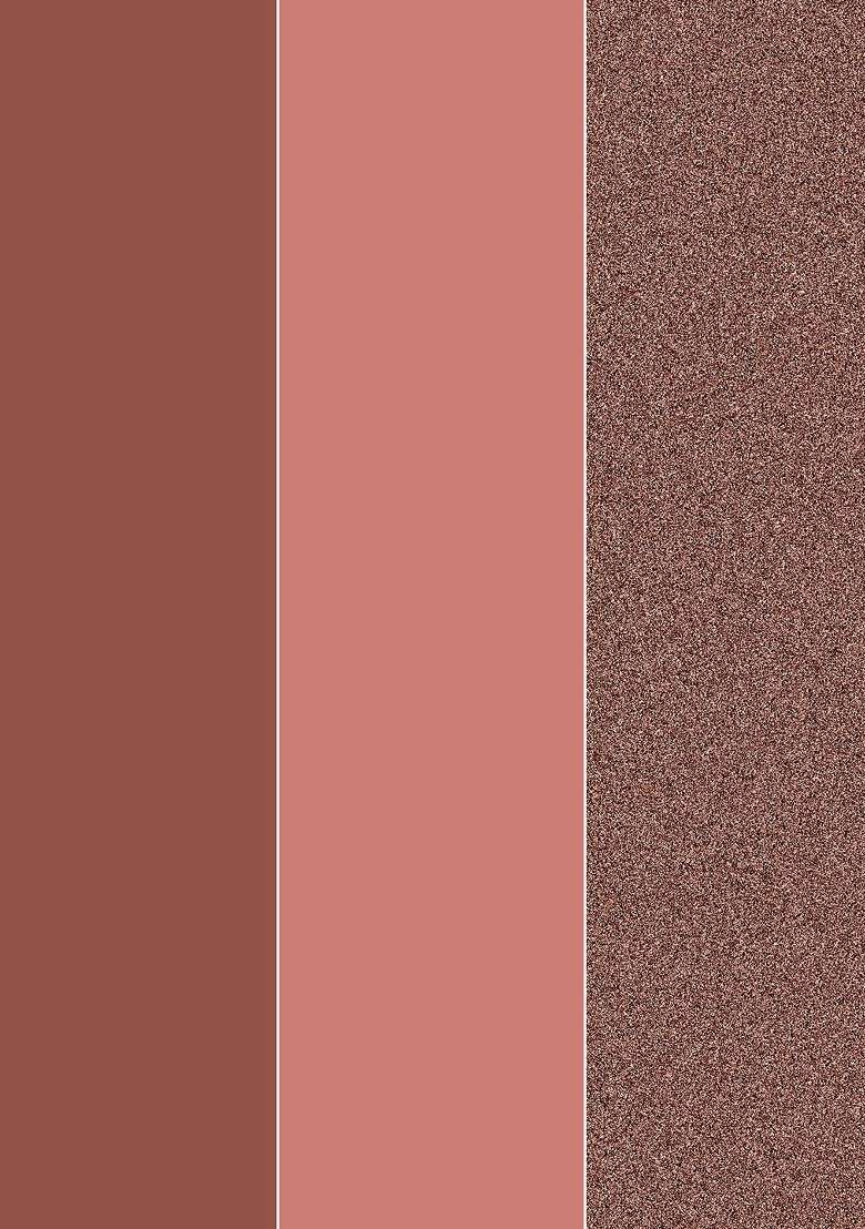 Love Earth Set Of 3 Liquid Lip Gloss Enriched 2Ml Each Browns - Indya