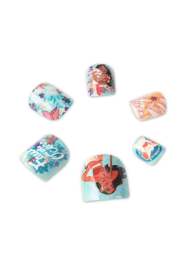 Renee Set Of 24 Disney Moana
