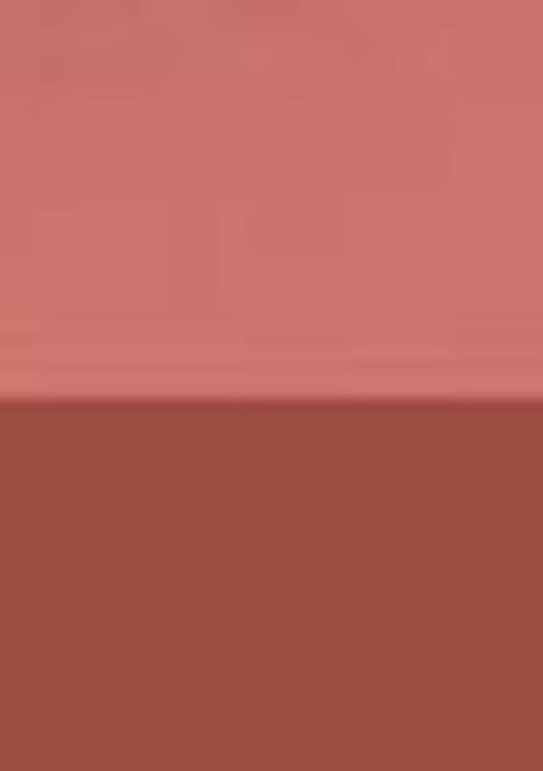 Love Earth Set Of 2 Creamy Matte Lip Cheek Tint Multipot 8G Gloss It Up 3Ml - Indya