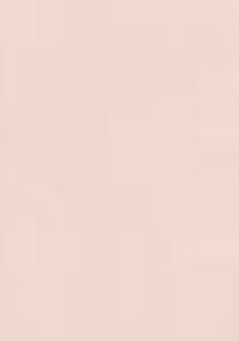 Swiss Beauty High Coverage Waterproof Base Foundation Rose Blush 02