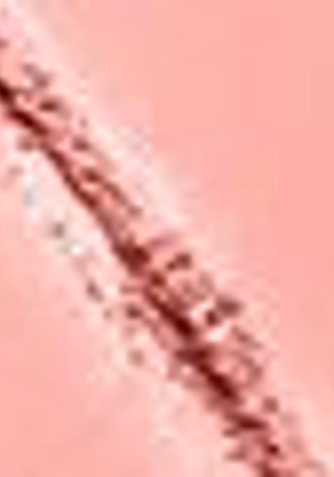 Lakme Forever Matte Face Powder With Finish For Oil Control 40G 02 Warm Pink