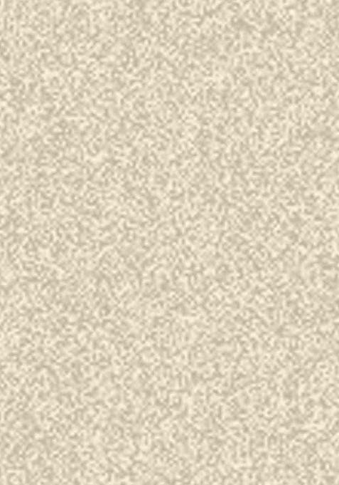 Daily Life Forever52 Sensational Ariel Glow Long Lasting Highlighter 6 G Ambient 05