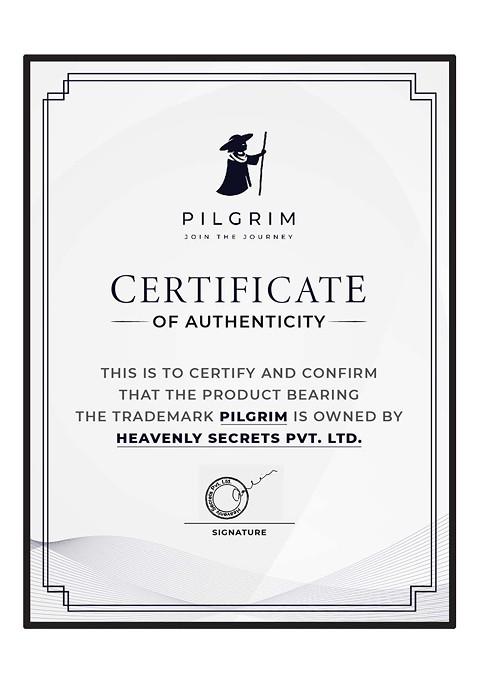 Pilgrim Matte Magic Compact Powder With Spf 25 7 G Ivory 05