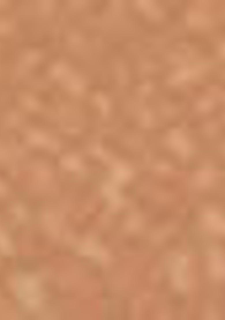 Renee Lumi Glow Highlighting Liquid Foundation With 3D 30 Ml Silk Cocoa