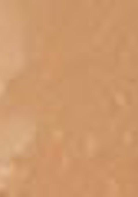 Pac Spotlight Liquid Concealer Melon 09