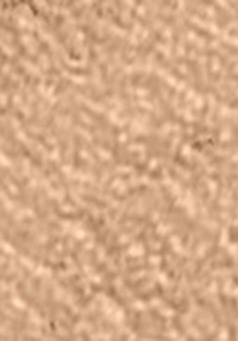 Coloressence Roseate Pro Sheen Chrome Pressed Powder Golden Ash 10G