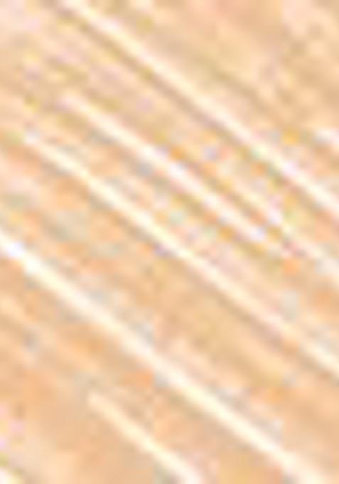 Daily Life Forever52 Complete Coverage Concealer Cov003 10G