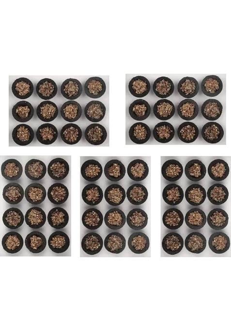 Dravya 60 Shree Exim Loban Dhoop Loban, Sambrani, Guggul, Cow Dung (60, Set Of 60)