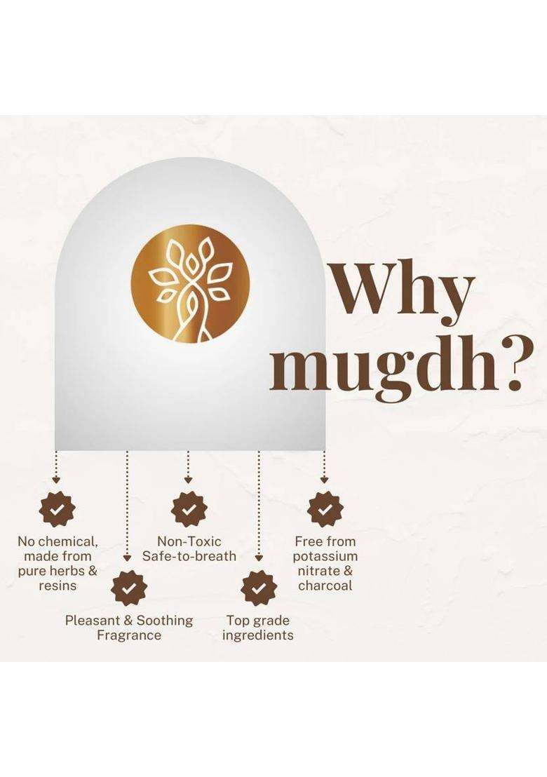 Mugdh Natural Incense Sticks Combo - 100 100% & Charcoal Free Chandan Loban (100 Units Set Of 2) - Indya