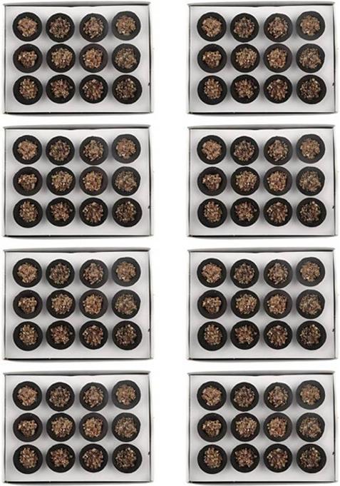 Airofine Fragrance Desi Chandan Sambrani Dhoop Cup-Af Cdc488 Sandal (Pack Of 96)