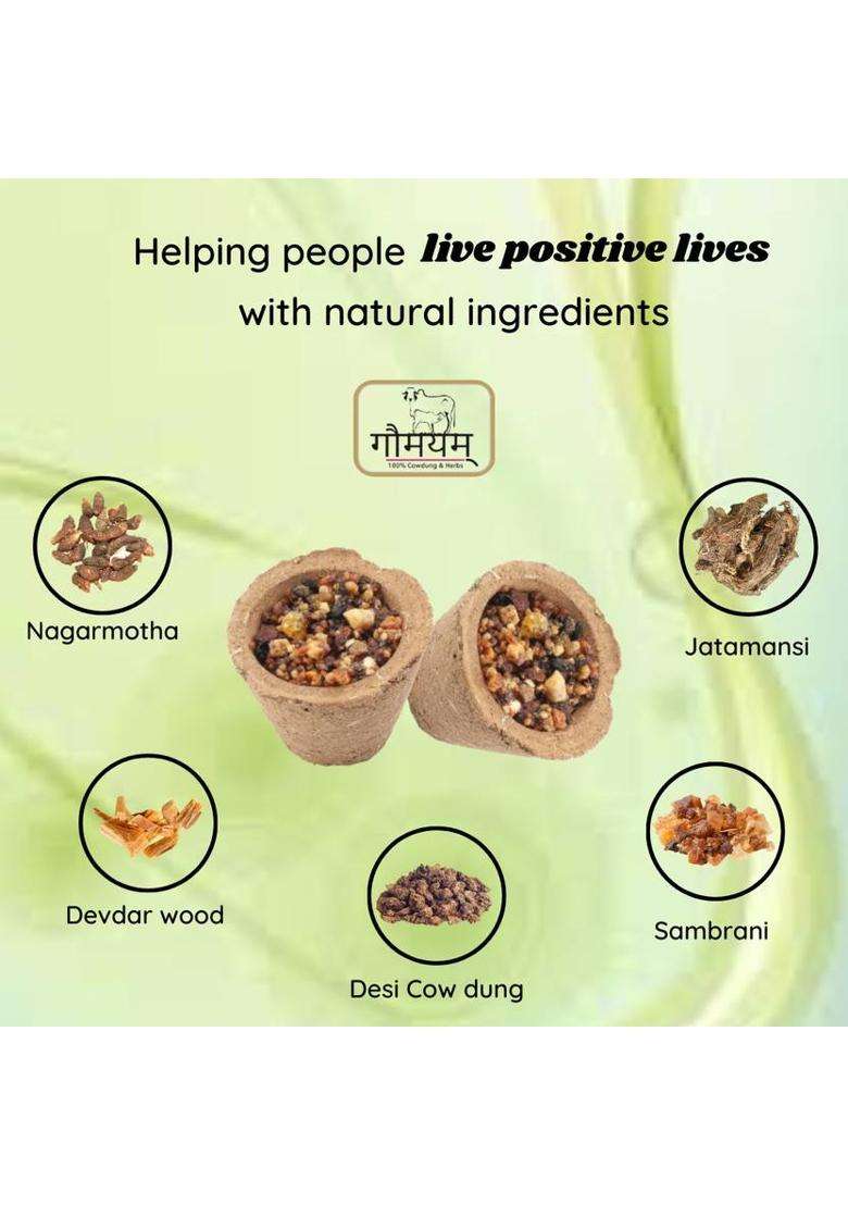 Gaumayam Organic Havan Cups Sambrani Dhoop For Pooja- JatamansiSambraniDevar Wood (Pack Of 3) - Indya