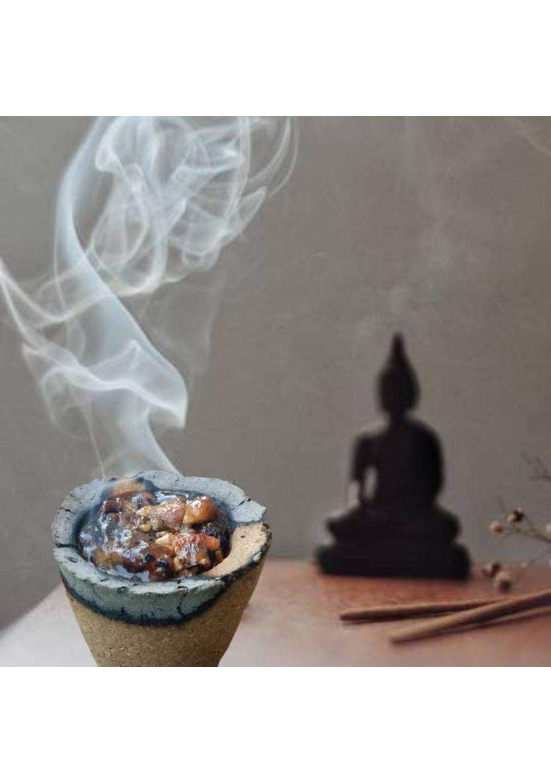 Gaumayam Organic Havan Cups Sambrani Dhoop For Pooja- JatamansiSambraniDevar Wood (Pack Of 3) - Indya
