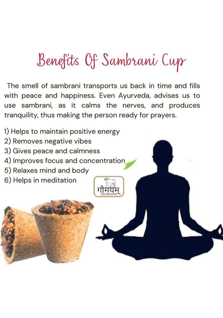 Gaumayam Organic Havan Cups 3 Sambrani Dhoop For Pooja- Cow Dung Herbal Loban Cup Guggul Frankincense - Indya