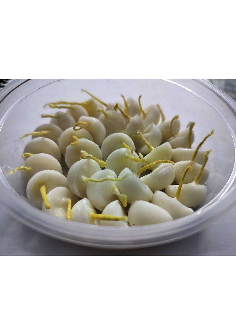 Byc Ghee Batti Cotton Wick (Pack Of 50) - Indya