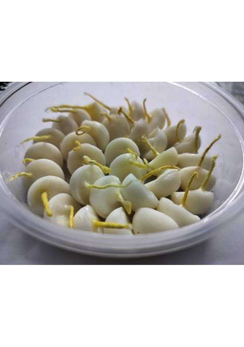 Byc Ghee Batti Cotton Wick (Pack Of 50) - Indya