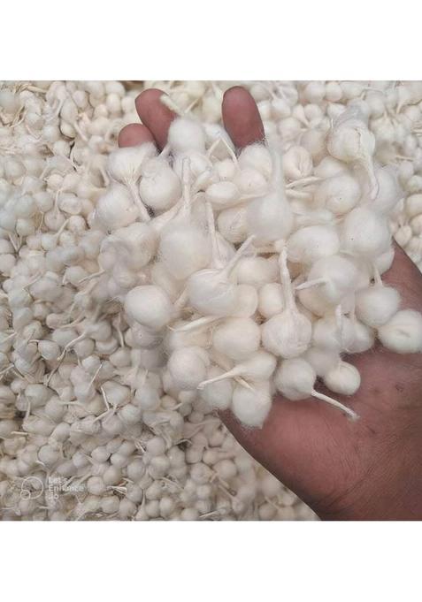 Kayru Round Batti/Diya Cotton Wicks/Round Phool Wicks/Puja Arti Rui(500Pc) Wick