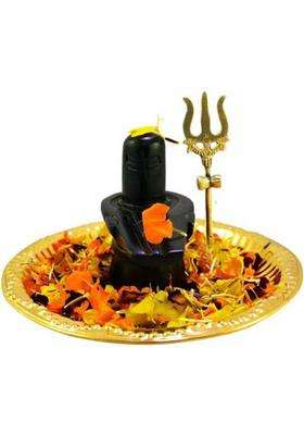 Navyaksh Shaligram Shiva Ling Lingam Statue Hindu Puja Brass Plate With Decorative Pooja Thali Shivling Marble Stone Snake Trishul Set Home Decore Religious Spiritual Temple (Gold)