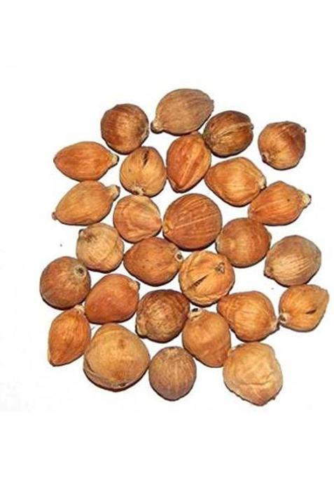 Sahara Laghu Nariyal - Mahalakshmi Coconut Small Set Of 11 Wooden (1 Pieces Brown)