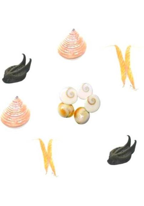 Epoojacart Devi Sri Guruji Evil Pod Kit Crystal (14 Pieces White)