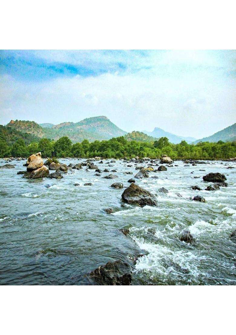Wqt Kaveri Jal 500 Ml Purest Holy Water For Puja Sourced From River (500 Ml) - Indya