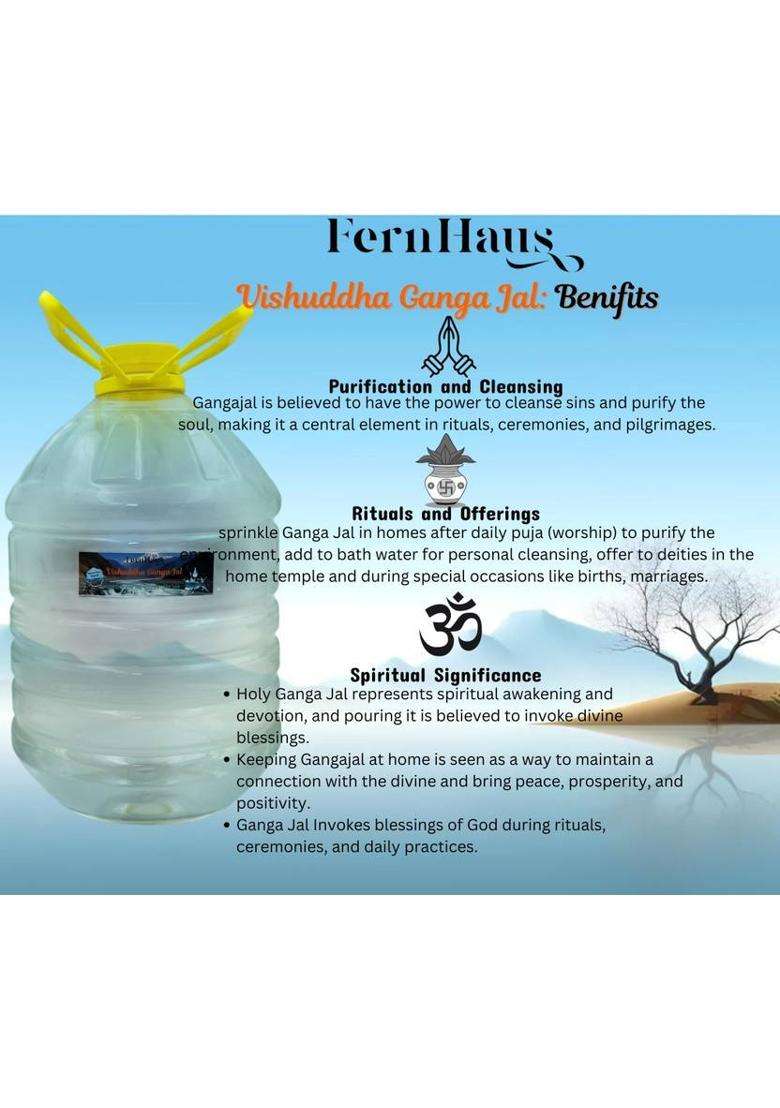 Fernhaus Pure And Original Gangajal For Puja & Rituals Polution Chemical Free 5 Ltr (5 L) - Indya