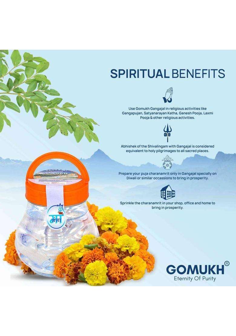 Gomukh Gangajal Pouches Pack Of 6 (1320 G) - Indya