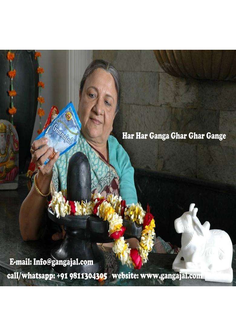 Gangajal Ganga Jal Pure And Natural From Deep Himalayas/Aproved By Uttarakhand Govt./Pack Of 10 Pouches Containing 220 Ml In One Pouch (220 Mlx10 = 1 Box) - Indya