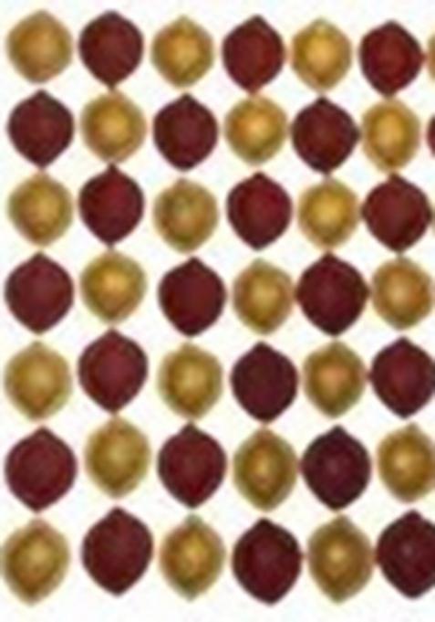 Treasure Wave Handmade Decorative Cow Dung Diya For Pooja And Diwali Decoration- Pack Of 51 Pottery (Pack 51) Table Set (Height 2 Inch)