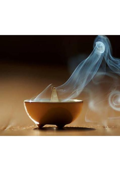 Gaumayam 2 In 1 Dhoop Cones For Pooja Organic Cow Dung 60 Panchagavya With Stand Jasmine, Lavender (Pack Of 60)