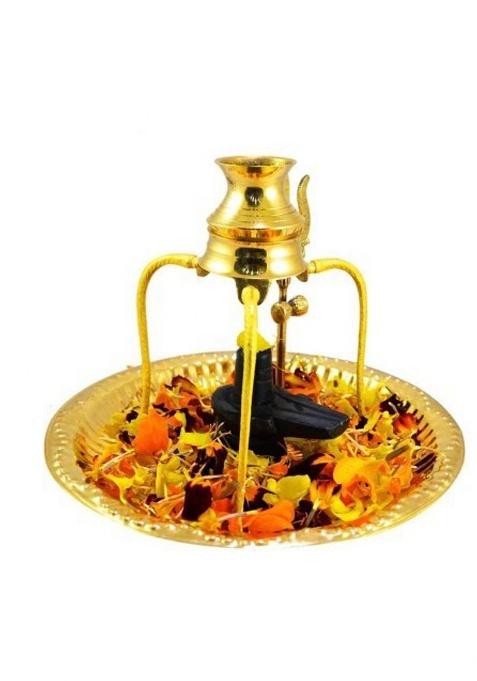 Puchchi Decorative Showpiece - 11.9 Cm(Brass Gold)