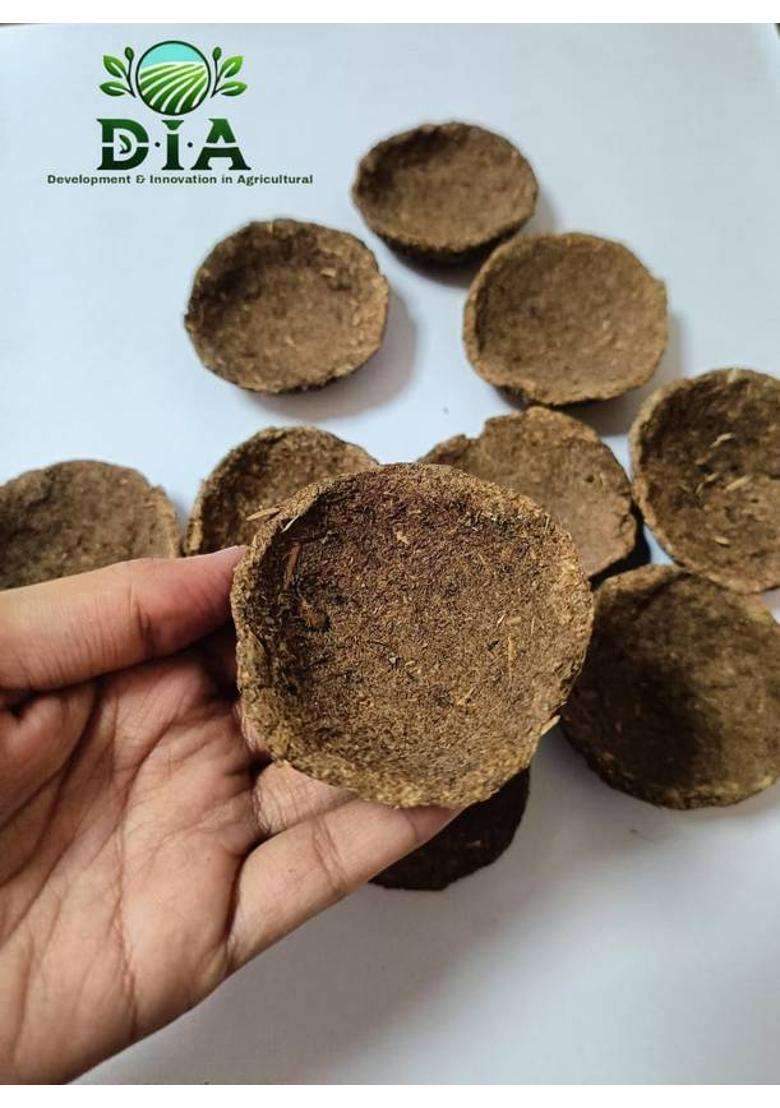 Dia Cow Dung (Pack of 24) Table Diya Set(Height 6 inch) - Indya