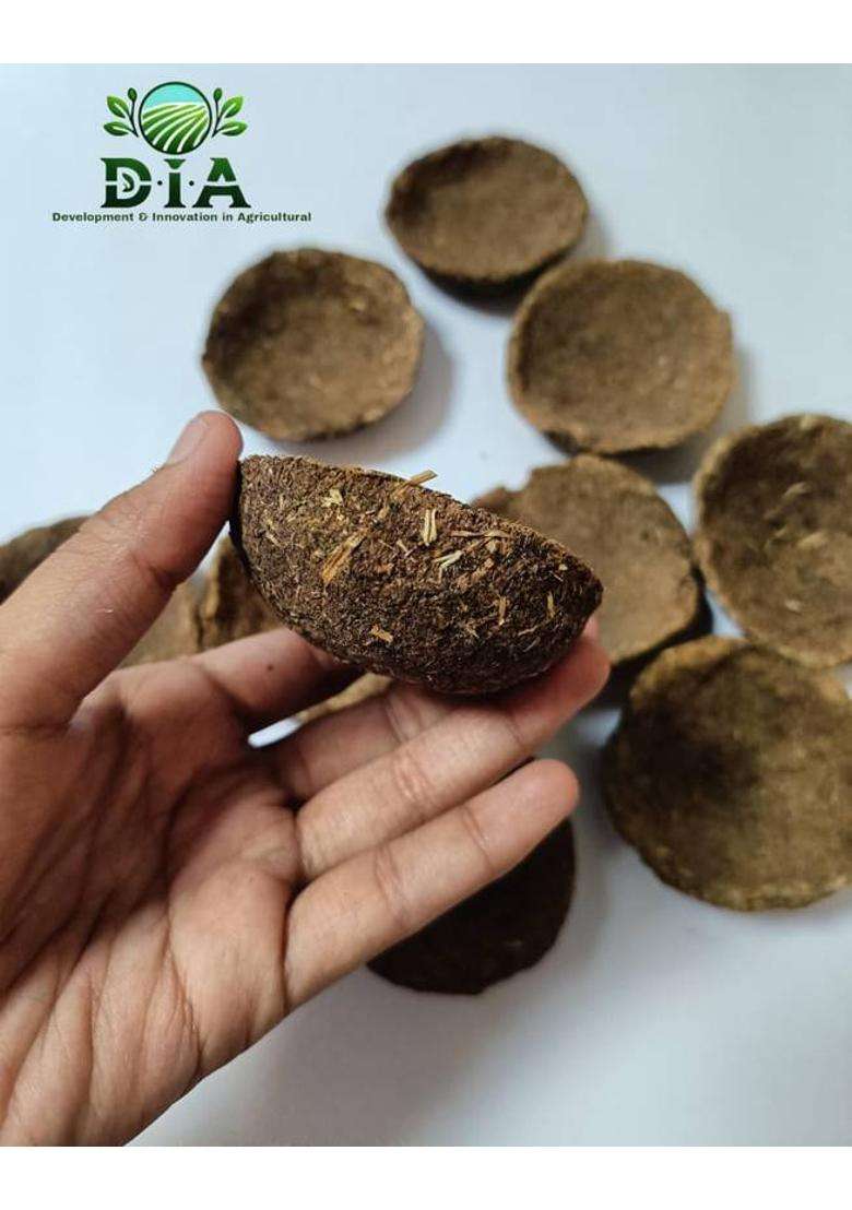 Dia Cow Dung (Pack of 24) Table Diya Set(Height 6 inch) - Indya
