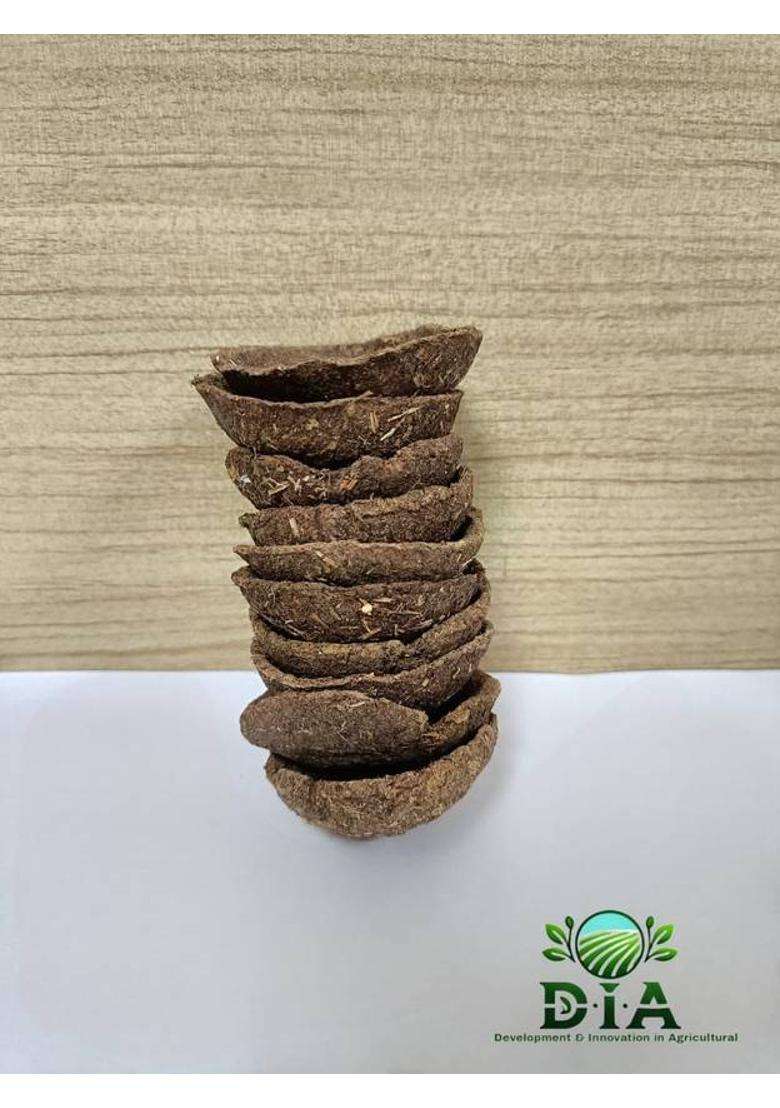 Dia Cow Dung (Pack of 24) Table Diya Set(Height 6 inch) - Indya