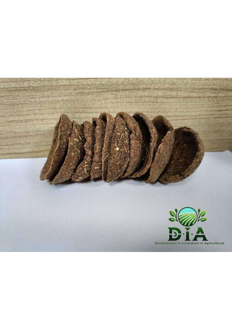 Dia Cow Dung (Pack of 24) Table Diya Set(Height 6 inch) - Indya