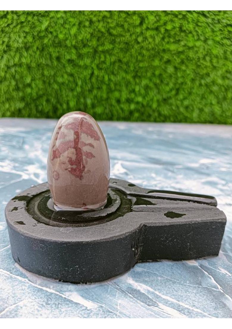 SHIVLING Original Narmadeshwar Shivling For Daily Home Pooja Decorative Showpiece - 2.5 cm&nbsp;&nbsp;(Stone, Brown, Black, White, Yellow, Yellow, Green, Red, Silver, Multicolor) - Indya