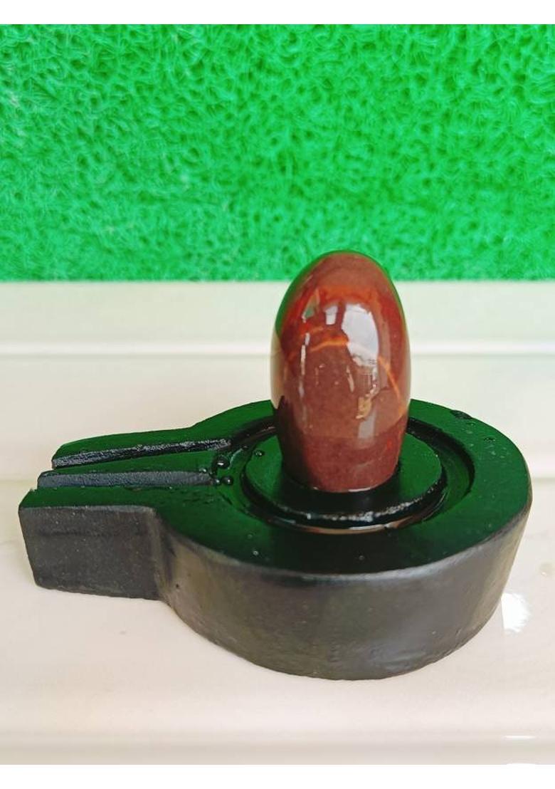 SHIVLING Original Narmadeshwar Shivling with Jaladhari 1.5 Inch Lingam 3 Inch Jaladhari Decorative Showpiece - 2.5 cm&nbsp;&nbsp;(Stone, Brown, Black, White, Yellow, Yellow, Green, Red, Silver, Multicolor) - Indya