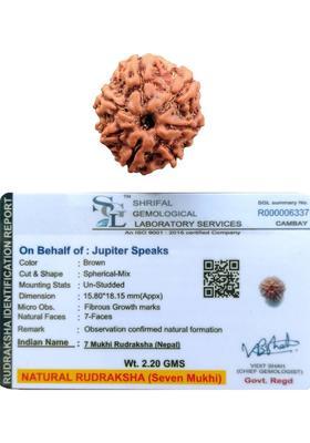 jupiter speaks 7 Mukhi/Face Rudraksha Nepal With Lab Certificate, 100% Original Ruthratcham Bead Size 18mm-19mm With Red Silk Thread Brown Color Bead for Men & Women Wood Pendant