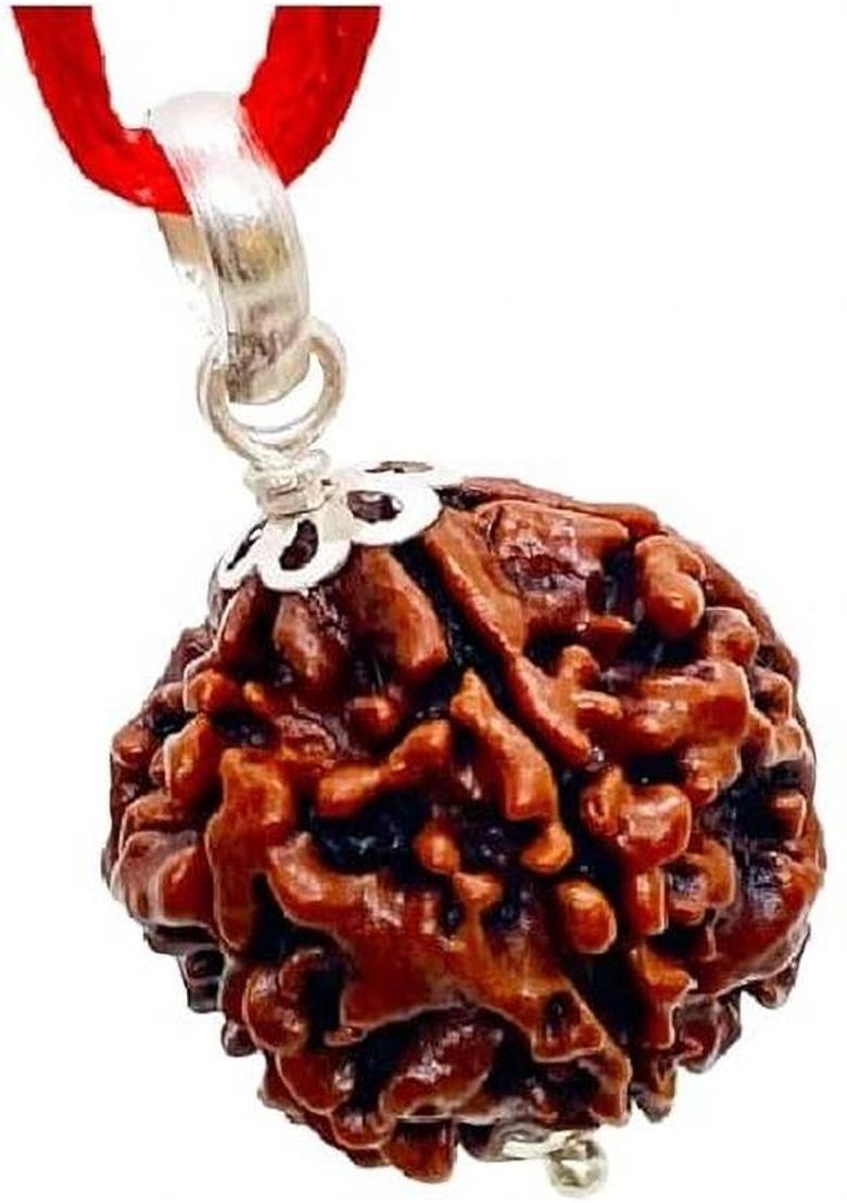 Kripalu store 5 Mukhi Rudraksha Five Face Rudraksha Original Nepali Bead Wood Pendant - Indya