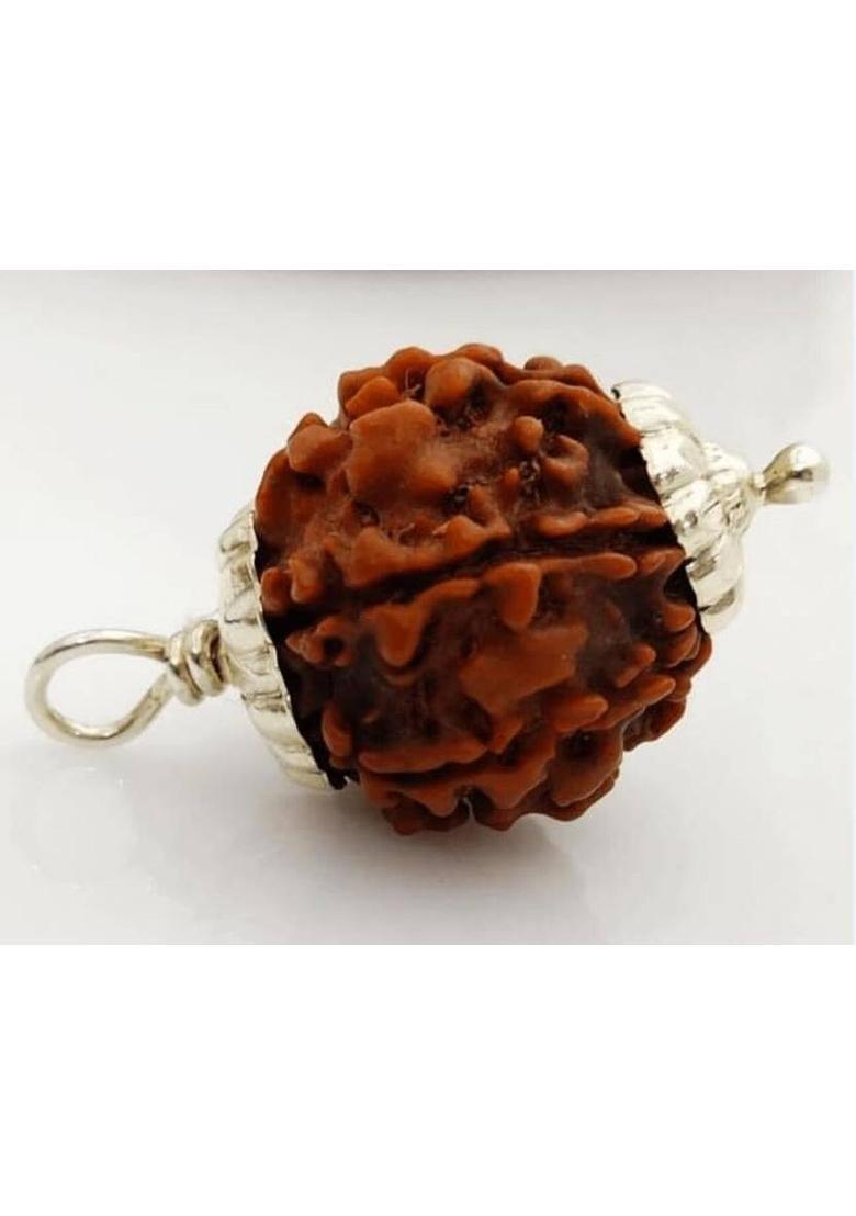 kripaurban 5 Mukhi Rudraksha From Nepali Five Face Rudraksha Metal Capped Wood Pendant - Indya