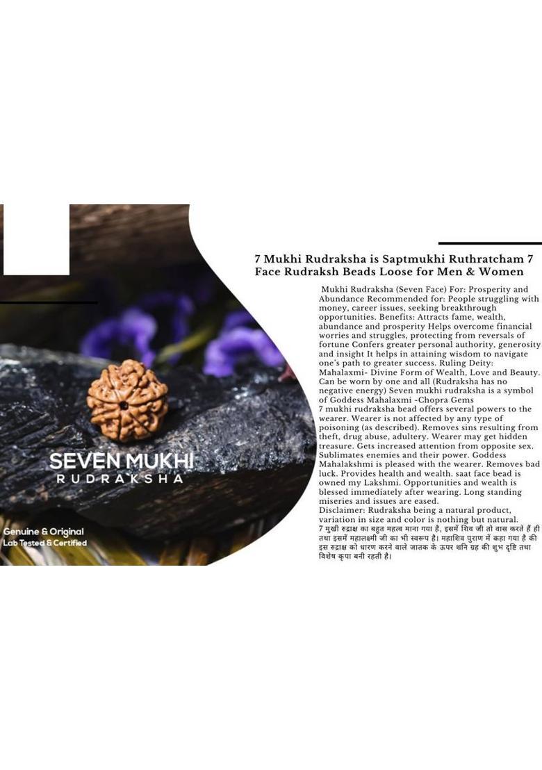 Kuttumb Gems & Jewels Premium Seven Mukhi Rudraksha / Original Indonesia 7 faced / 7 Mukhi Rudraksha Gold-plated Wood Pendant - Indya