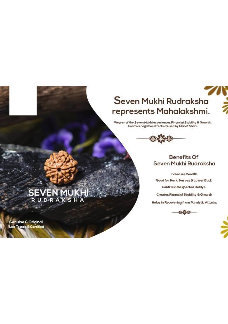 Kuttumb Gems & Jewels Premium Seven Mukhi Rudraksha / Original Indonesia 7 faced / 7 Mukhi Rudraksha Gold-plated Wood Pendant - Indya