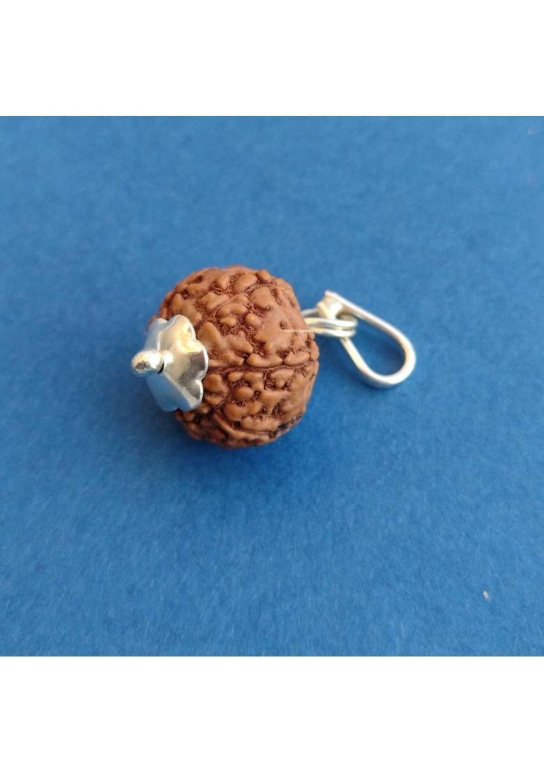 jupiter speaks 7 Mukhi Indonesian Rudraksha Pendant Lab Certified Natural Brown Bead 15-17 mm Sterling Silver Wood Pendant - Indya
