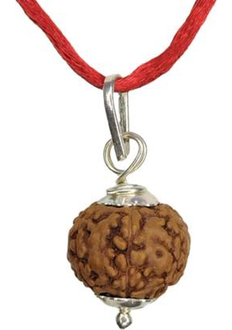 jupiter speaks 7 Mukhi Indonesian Rudraksha Pendant Lab Certified Natural Brown Bead 15-17 mm Sterling Silver Wood Pendant - Indya