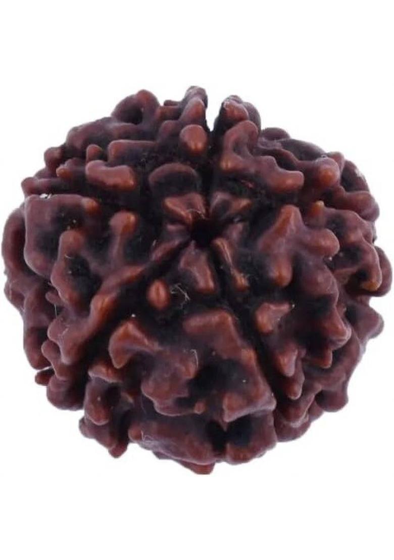 Beautum Natural 5 Mukhi Rudraksha Original Five Face Rudraksha Metal Capped Wood Pendant - Indya
